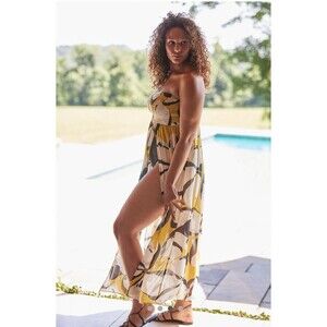 NWT Parrott Paints for Anthropologie Size S Drama Dress Tube Pear Print Maxi